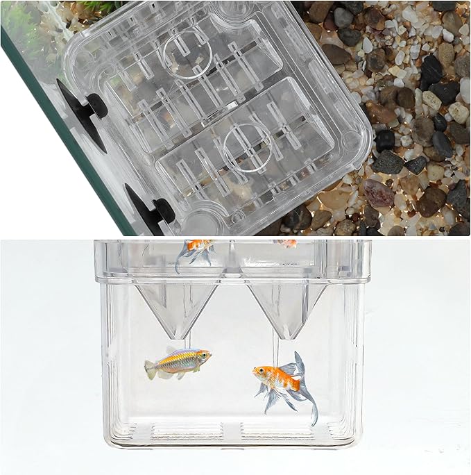 Fish Breeder Box, Easy-to-Use Breeder Tank Divider, Breeder Box for Fish Tank, Versatile Breeder System, L, Clear, 1 Set