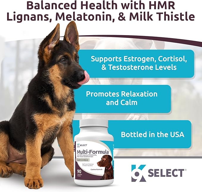 K9 Select Multi-Formula Dog Vitamins for Large Dogs - 30mg HMR Lignans, 3mg Melatonin, 60mg Milk Thistle - Helps Heart, Liver, Digestion, Skin & Coat Health, Dog Multivitamin, 90 Tablets, Beef Flavor