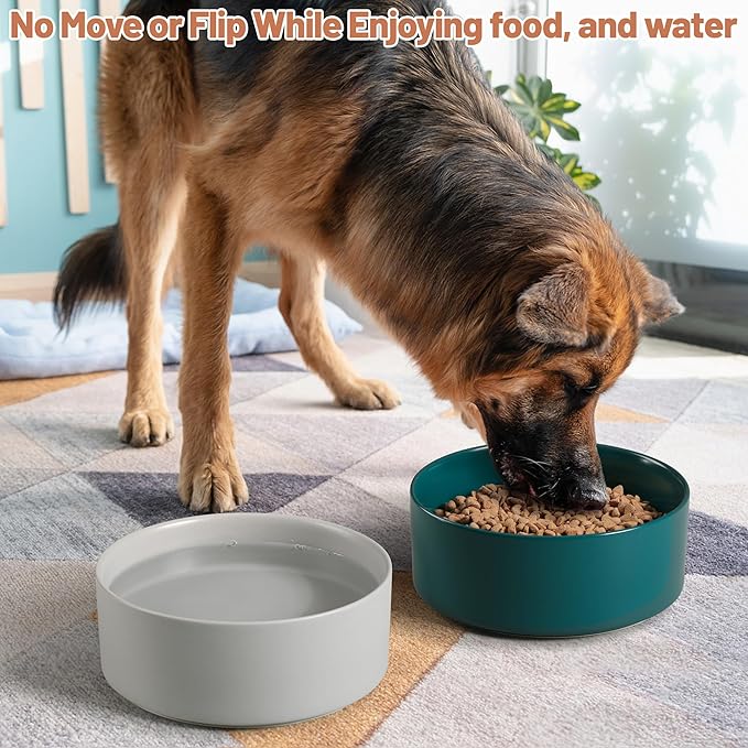 Large Dog Bowls, Non Slip Heavy Ceramic Dog Food and Water Bowl with White Silicone Base, 2 Pack Pet Feeding Bowls for Medium Big and Giant Dogs (Grey+Green, 8 Inches)