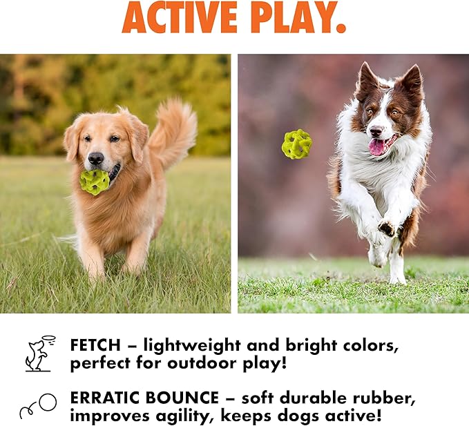 Max Fusion with Nike Grind, Arlee Gyro Treat Dispensing Dog Toy, Durable Dog Treat Toy, L