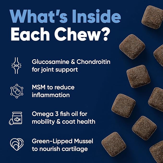 Woofy Advanced Strength Hip & Joint Health Supplement for Dogs - with Glucosamine, Chondroitin, MSM, Omega 3 and Green Lipped Mussel, 90 Flavored Chews for Small and Medium Dog Breeds