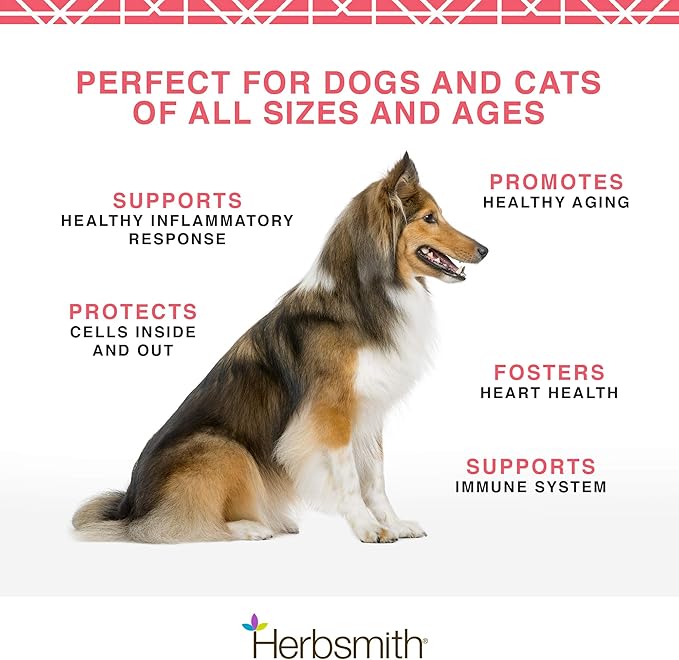 Herbsmith Pure Krill - Wild-Caught Antarctic Krill - Just 1 Ingredient - Astaxanthin for Dogs - Ready-to-Use Omega 3s – Alternative to Krill Oil for Dogs - 400g