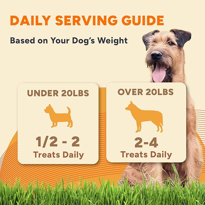 Gaines Family Farmstead Sweet Potato Dog Bones – 32 oz Bag, All-Natural, Single Ingredient, Grain-Free Dog Treats for Digestive Health, High Fiber - Training & Rewards, Made in USA