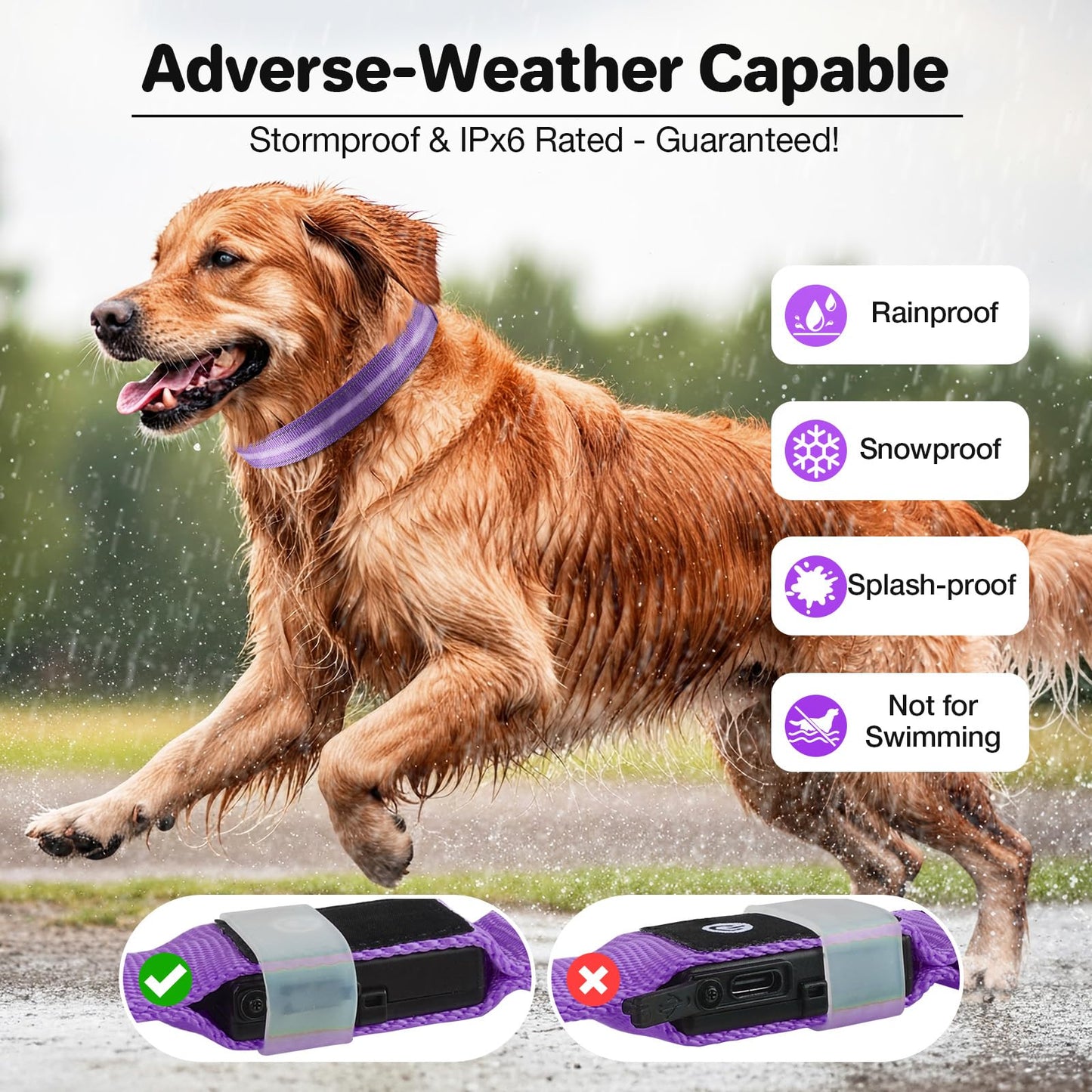 Fiveda Light Up Dog Collar, USB Rechargeable 6 Modes, Waterproof Charging Port, Long Lasting LED Collar - Adjustable Nylon Reflective for Dogs, Sizes S/M/L (7/9/11 Lights) -Purple, M