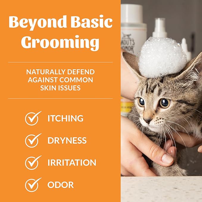 Skout's Honor Probiotic Cat Shampoo & Conditioner with Avocado Oil & Omega-3s, 97% Natural, Paraben & Sulfate-Free, Cruelty-Free, Defend Against Itch, Dryness, Irritation. 16oz, Honeysuckle