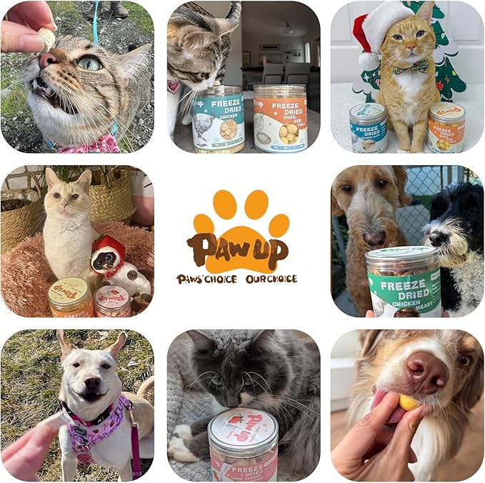 Freeze Dried Cat & Dog Treats, Natural Quail Egg Yolk, Single Ingredient, High-Protein Pet Snacks for Skin & Coat Health, No Artificial Additives, 9.2 oz