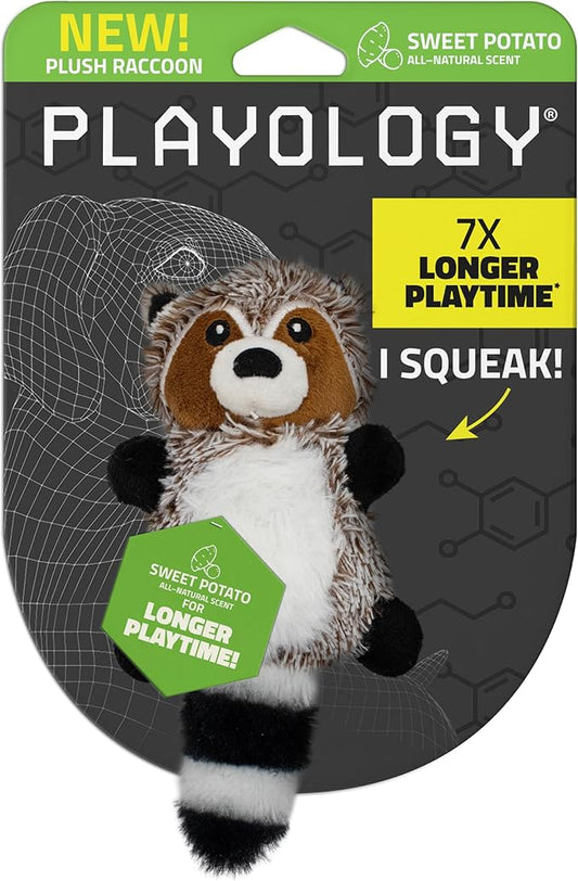 Playology Plush Toys for Dogs | Stuffed Animal Raccoon | Sweet Potato Scented Toy for Small Dogs