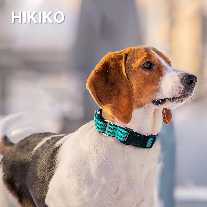 Hikiko Martingale Dog Collars Reflective Nylon Dog Collar with Quick Release Buckle Adjustable Training No Slip Dog Collar (Large, Turquoise)