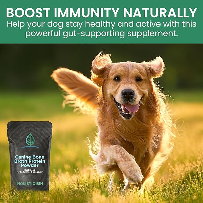 HOLISTIC BIN Canine Powderized Beef Bone Broth – Protein Powder for Endurance & Longevity – Nutritious Dog Enrichment for Energy & Wellness – Premium Beef Protein Supplement - 50 Grams