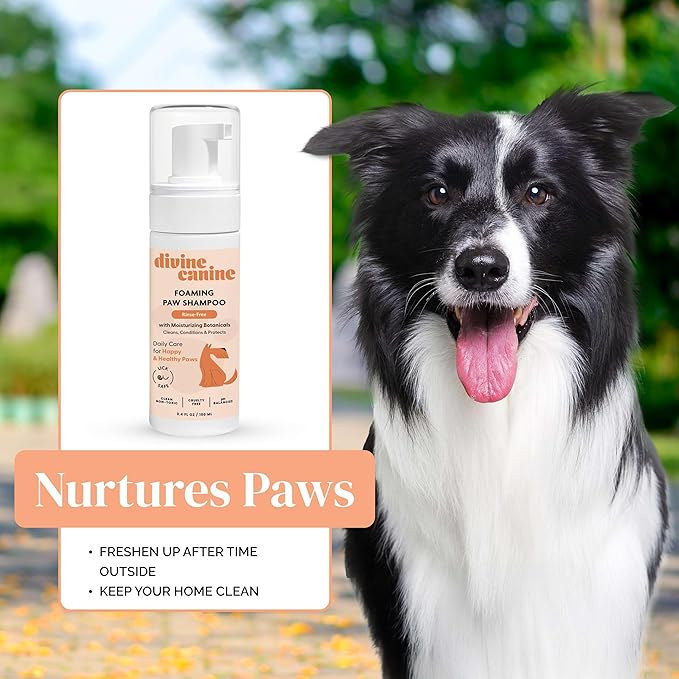 Foam Dog Paw Cleaner - 1.7 Fl Oz of Alcohol Free Foaming Paw Sanitizer Spritz - Made with Coconut, Aloe, Copaiba Oil, and Lemongrass Oil to Nourish and Clean Paws - Made in The USA