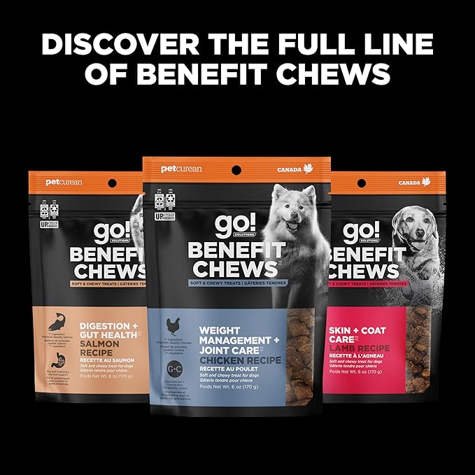 Go! Solutions Sensitivities - Limited Ingredient Dog Treats Salmon Recipe - Soft and Chewy Dog Treats, 6 oz Bag