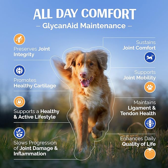 GlycanAid Maintenance Joint Nutrition for Dogs (150 Chewable Tablets), Made in USA-USA Ingredients: Glucosamine HCL, Chondroitin Sulfate, MSM & Vitamin C
