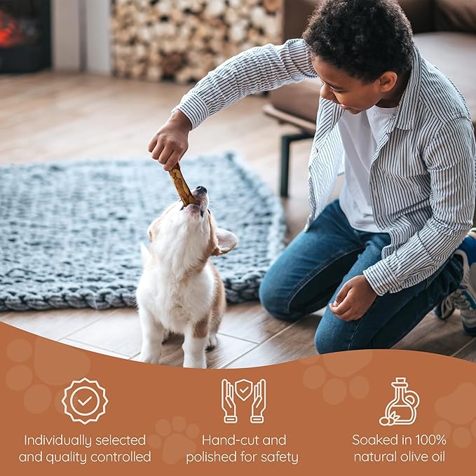 Wildfang® Olive Wood Chewing Sticks for Dogs, Large - Tough Chew Toys for Aggressive Chewers, Puppy Chew Toys for Teething, Training for Chewing Muscles, Olive Wood Stick for Dog (Under 33lbs), 3pack