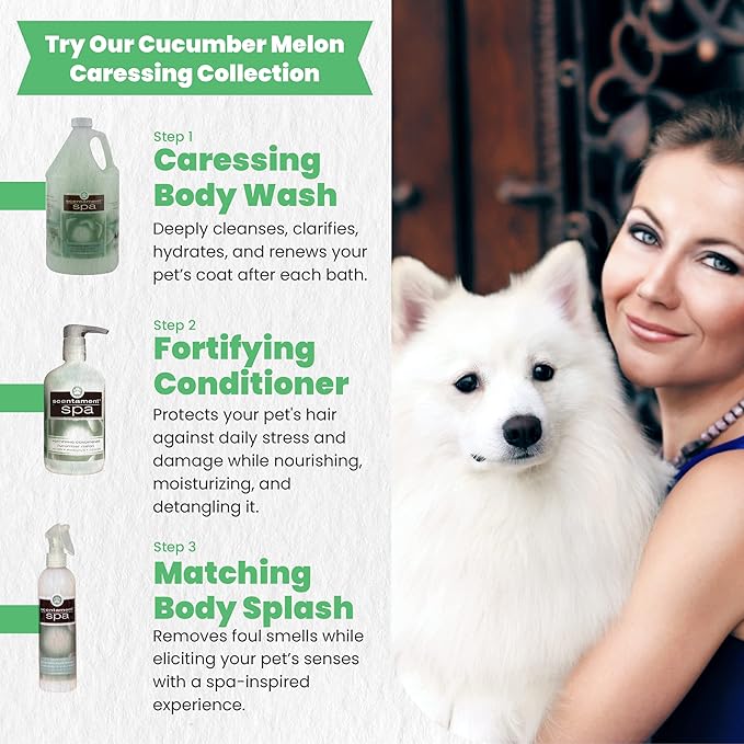 Best Shot Scentament Spa Caressing Body Wash, Cucumber Melon, 16 oz