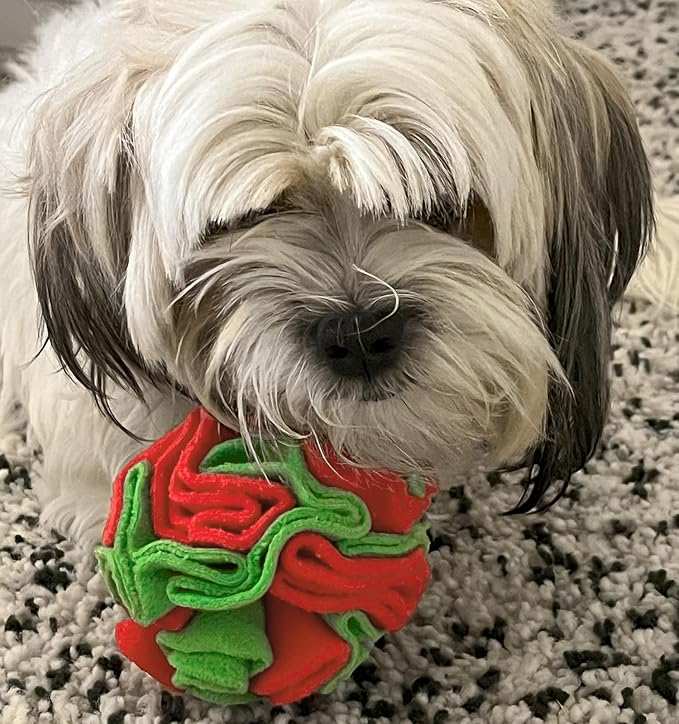 Puppy and Small Breed Snuffle Interactive Foraging Dog Puzzle Ball Toy Christmas Green and Red