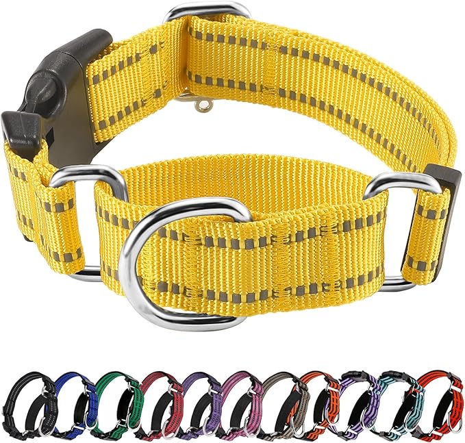 Hikiko Martingale Dog Collars Reflective Nylon Dog Collar with Quick Release Buckle Adjustable Training No Slip Dog Collar (Large, Yellow)