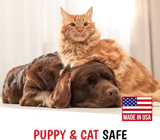 Warren London Magic Black Dog Shampoo | Brightens Any Dog Coat | Formulated for Darker Dog Coats | Puppy and Cat Safe Grooming Supplies | Berry Scent | Made in USA | 17oz