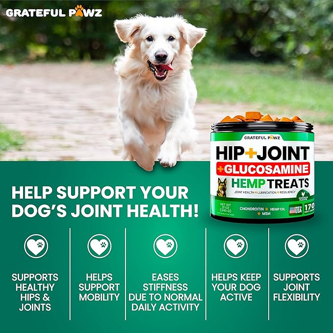 Hemp Hip and Joint Supplement for Dogs - Glucosamine for Dogs - 170 Joint Pain Relief Treats - Chondroitin, MSM, Hemp Oil - Advanced Health Supplement - Mobility Support Chews - Made in USA