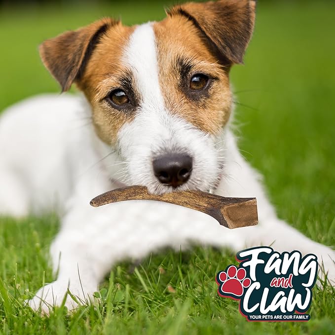 Fang & Claw Grass-Fed Deer Antlers for Dogs – 7.5–10" Antler Chews, 4-Pack – Long-Lasting Dog Chews for All Dogs & Aggressive Chewers