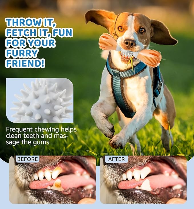 Durable Dog Chew Toy, Natural Rubber Treat Dispensing Puzzle Toy for Small & Medium Breeds – Interactive Teething, Training, and Dental Care Toy to Keep Dogs Engaged & Relieve Boredom (Orange)