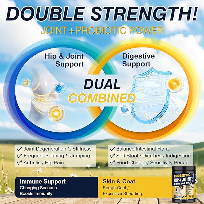 Hip and Joint Supplement for Dogs Dog Probiotics Glucosamine Chondroitin MSM Chew for Dog Arthritis Pain Relief Extend Joint Care, Probiotic for Digestive/Gut Health for Large/Small/Senior Breed Dogs