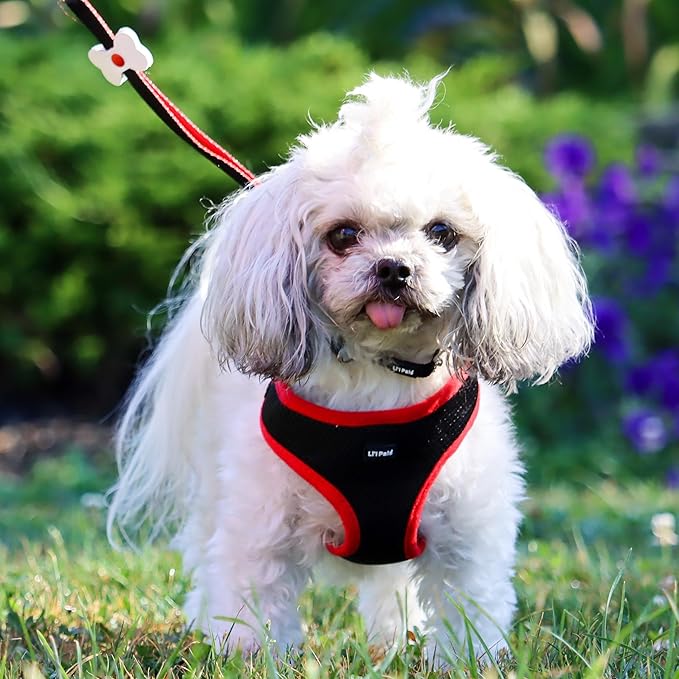 Coastal Pet Li'l Pals Dog Slicker Brush with Coated Tips - Dog Grooming Brush for Small Breeds & Puppies - One Size