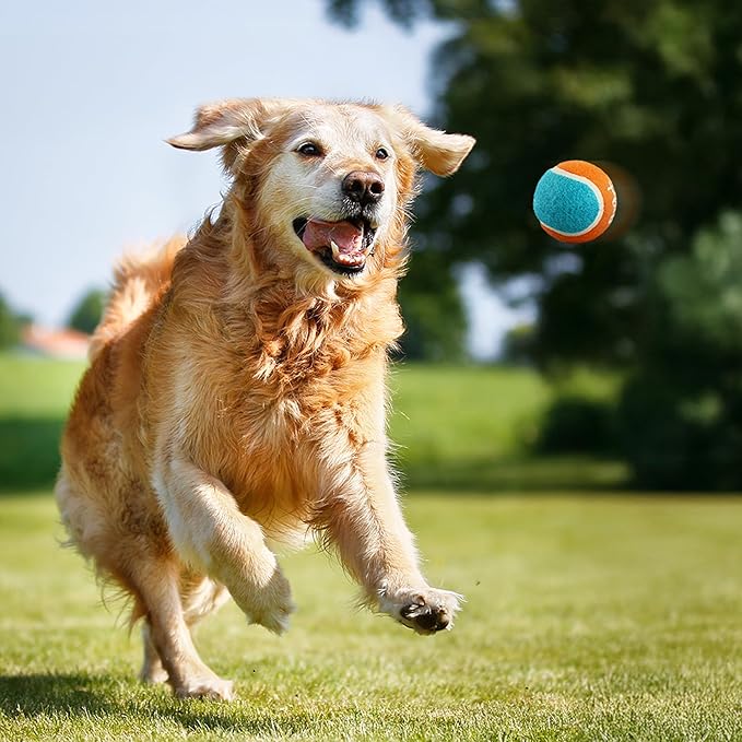 AFP 25“ Dog Ball Launcher, Balls Thrower with Non-Slip Handle, Foldable and Lightweight Dog Fetch Toy, Includes 5 Medium Tennis Ball (2.5'')