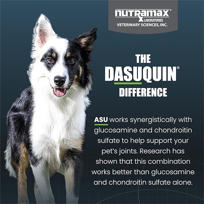 Nutramax Dasuquin for Small to Medium Dogs, Joint Health Supplement, Contains Glucosamine for Dogs, Plus Chondroitin, ASU and More, Supports Healthy Joints, Chewable Tablets, 150 Count
