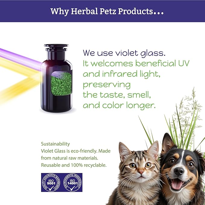 Immune-ity for Cats & Dogs - Herbal Health Supplement, Immune Support, Antioxidants, Yeast Balance, Healthy Stools, Microbiome Support, 1 Fluid Ounce Glass Bottle, Manufactured in The USA