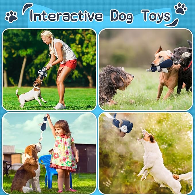 Durable Squeaky Dog Toy Set with Tug Rope | 3-Pack Interactive Plush Toys for Small to Extra Small Dogs | Animal Shapes – Lion, Parrot & Duck | Chew, Play, and Tug of War | Pet Toy Set