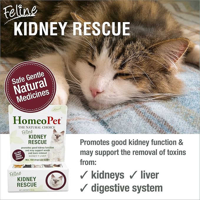 HomeoPet Feline Kidney Rescue, Safe and Natural Renal Supplement for Cats and Kittens, 15 Milliliters