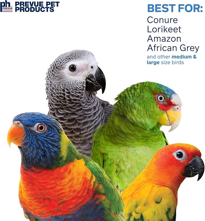 Prevue Pet Products Sink 'n Seek - Playfuls Forage & Engage Bird Toy 60250