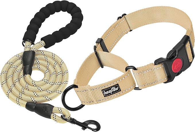 haapaw 2 Packs Martingale Dog Collar with Quick Release Buckle Reflective Dog Training Collars for Small Medium Large Dogs