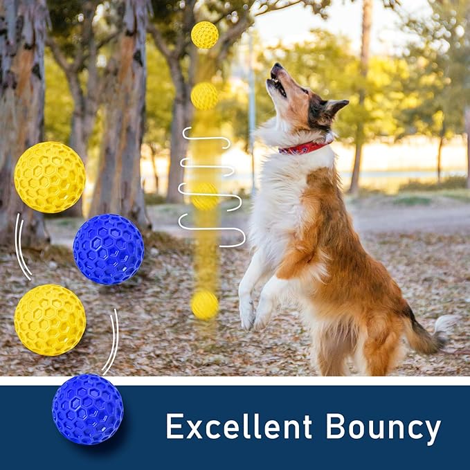 2 Pack Indestructible Squeaky Dog Balls for Aggressive Chewers, Durable Rubber Chew Toys for Teething, Anxiety Relief Perfect for Large, Medium Breeds, Indoor Outdoor Use