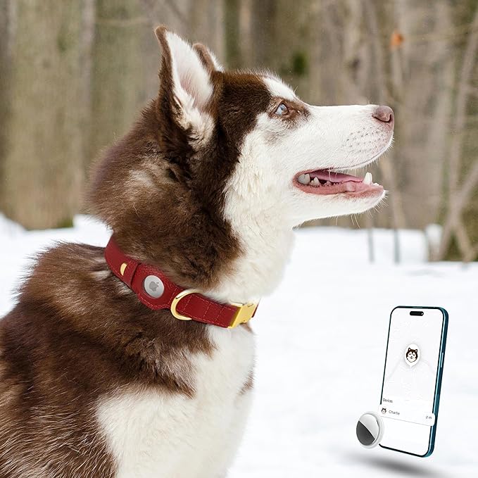 Leather Airtag Dog Collar - Soft Tracking Dog Collar with Apple AirTag Holder and Metal Buckle - Safety GPS Pet Collars for Small Medium Large Dogs Puppy Pink Red (Red, S, 12"-15" Neck Fit)