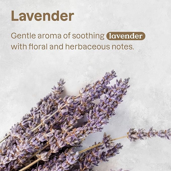 ATTITUDE Stain and Odor Remover for Pets, Plant and Mineral-Based Ingredients, Vegan and Cruelty-Free, Lavender, 16 Fl Oz