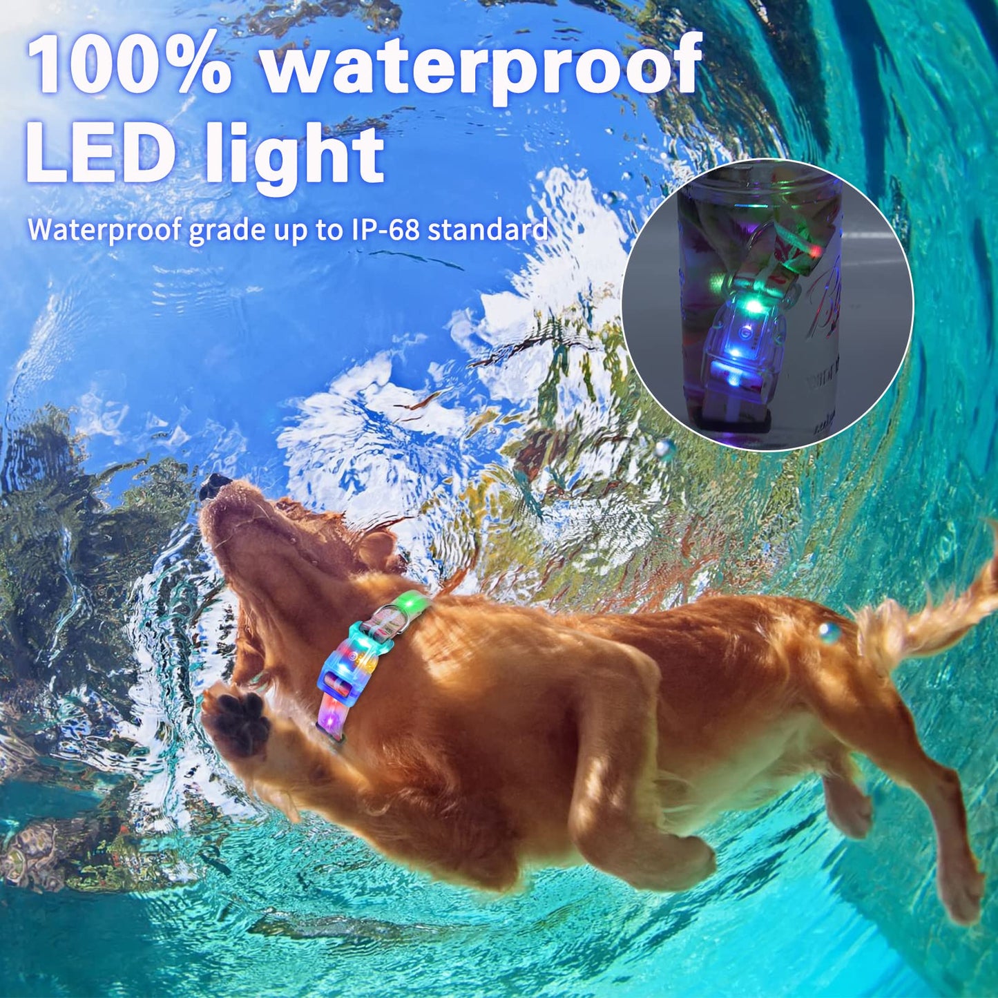 YUSHANG Light Up Dog Collars,LED Dog Collar Rechargeable Waterproof,2-in-1 Buckle Type Glow Collar for Medium Large Dogs- M(10-17 * 0.98 inch can be Crop