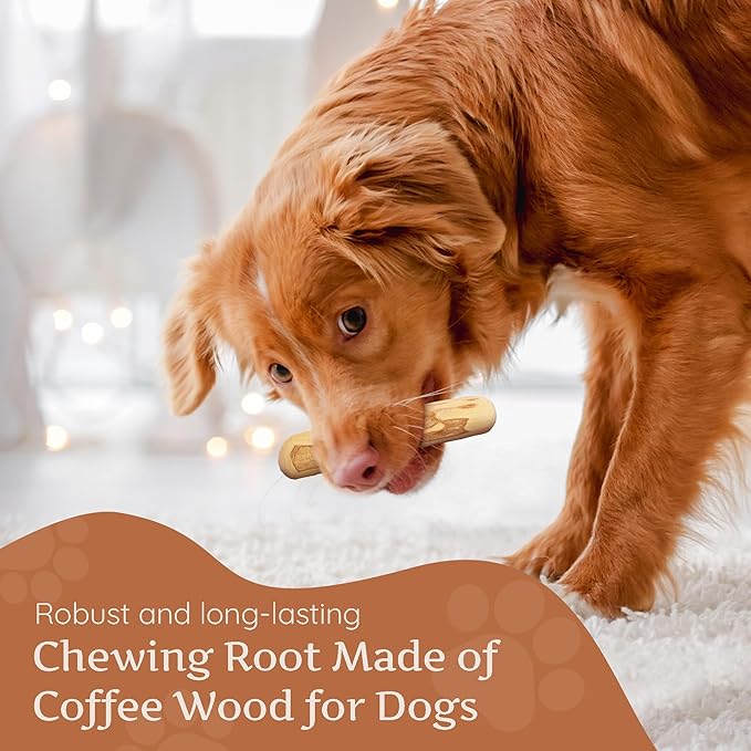 Wildfang® Coffee Wood Dog Chew, Medium - Tough Chew Toys for Aggressive Chewers, Dog Teething Toys for Puppies, Training for Chewing Muscles, Coffee Tree Sticks for Medium Dogs (33-55 lbs), Pack of 3