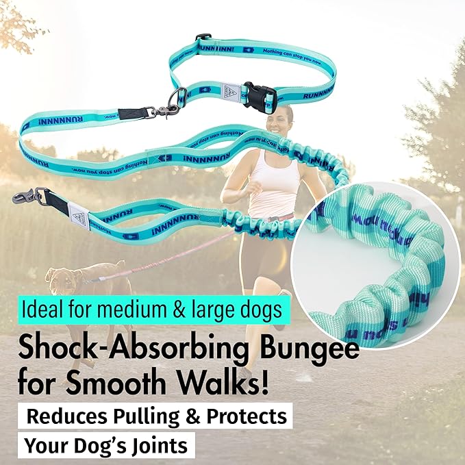 Hands Free Dog Leash with Waist Belt Lifetime Replacement, Dual Handle Bungee Leash for Running, Jogging, Hiking and Walking, for Medium and Large Dogs 5218