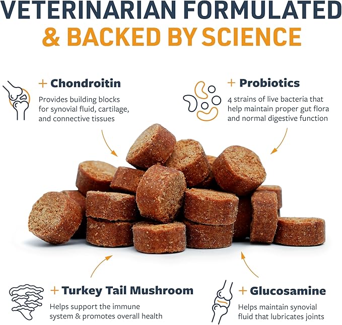 Veterinary Formula Senior Support Joint Supplement for Dogs - Soft Chews, 30ct - Support Healthy Joints, Skin, Gut, and Immunity with Glucosamine for Dogs