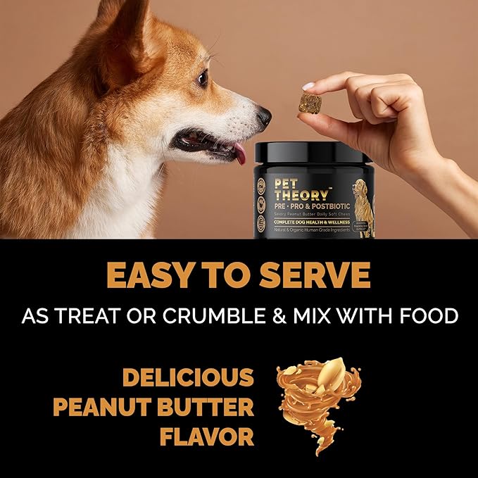 Probiotics for Dogs. Dog Digestive Health-Pre Pro and Postbiotic Combination-Pet Supplements for Gut Health-Supports Digestion, Boost Immunity-100CT Soft Chews