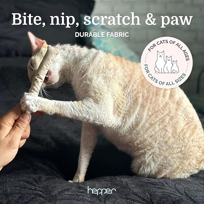 Hepper Stick Catnip Kicker - Organic American Catnip Toys/Kitten Toys for Indoor Cats, Cat Supplies with Catnip