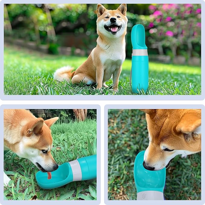 Portable Dog Water Bottle, Stainless Steel 14 OZ Leak Proof Puppy Water Dispenser with Drinking Feeder for Pets Travel, Walking, Hiking and Outdoor Activities