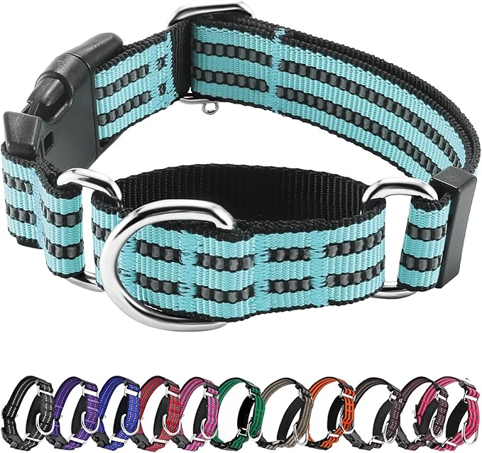 Hikiko Martingale Dog Collars Reflective Nylon Dog Collar with Quick Release Buckle Adjustable Training No Slip Dog Collar (Small, Sky Blue)