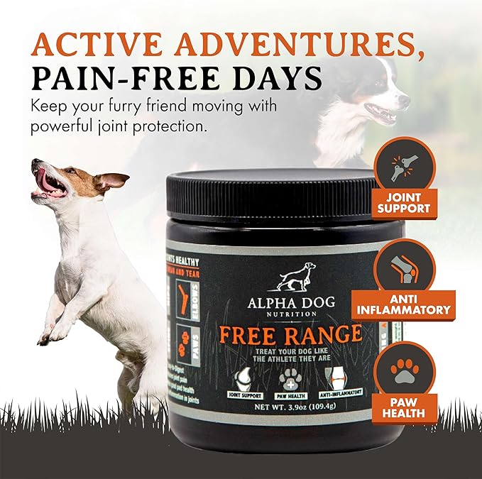 Free Range Joint Health Enhancer Supplement Powder for Dogs by Alpha Dog Nutrition - Premium Dog Arthritis Vitamins to Care for Joints - Contains Glucosamine, Chondroitin, MSM, Vitamin E, & More