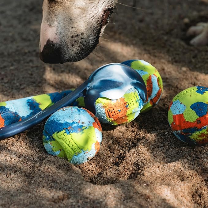 Chuckit! Limited Edition EcoFetch Ball Dog Toy, Medium (2.5 Inch Diameter) Pack of 3, for Breeds 20-60 lbs