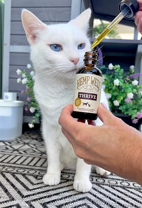 Hemp Well Thrive Oil for Dogs and Cats – Supports Hip, Joint, and Heart Health, Promotes Immune Support, Strengthens Skin and Coat, Organically Sourced – 2 Ounces