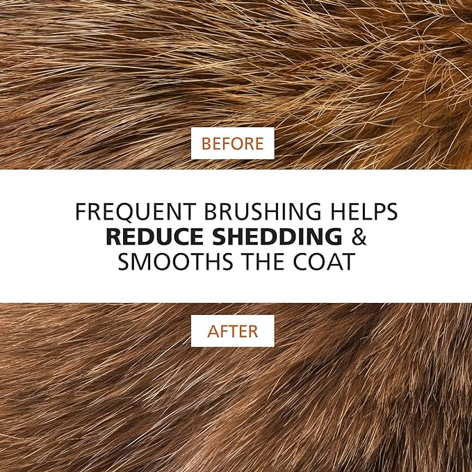 Wahl Premium Pet Double Sided Pin Bristle Brush with Patented Stacked Pin Design for Dogs - Removes Loose Hair & Stimulates the Skin while Creating a Soft Coat Shine - Model 858501