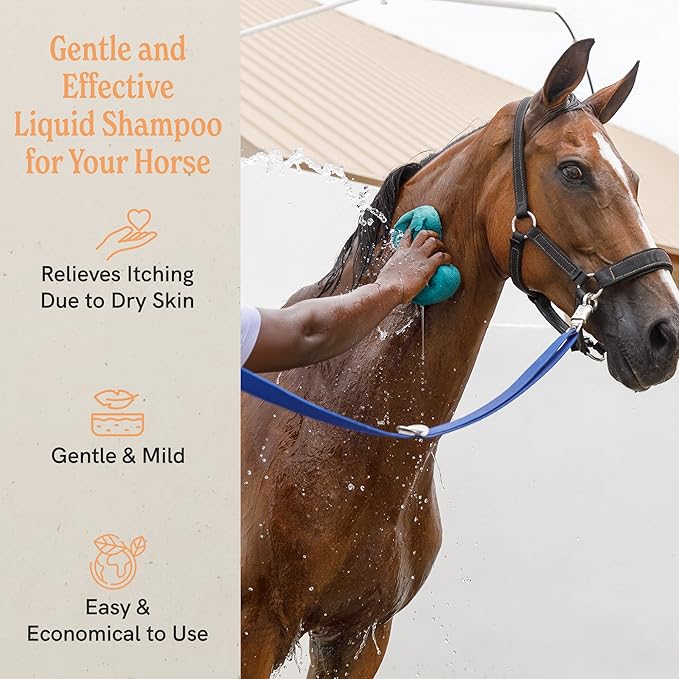 J·R·LIGGETT'S Botanical Horse Liquid Shampoo for Sensitive Skin | Hypoallergenic Biodegradable Shampoo Formula for Horses | 100% Eco-Friendly | Detergent-Free Horse Supply | 16.9fl.oz