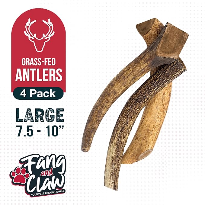 Fang & Claw Grass-Fed Deer Antlers for Dogs – 7.5–10" Antler Chews, 4-Pack – Long-Lasting Dog Chews for All Dogs & Aggressive Chewers